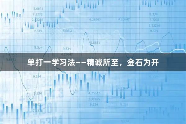 单打一学习法——精诚所至，金石为开