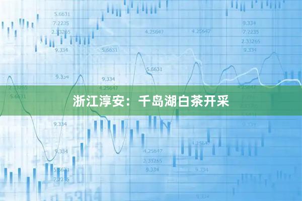 浙江淳安：千岛湖白茶开采
