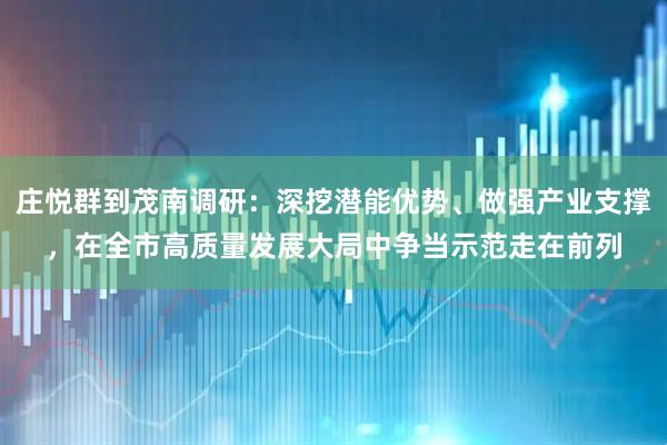 庄悦群到茂南调研：深挖潜能优势、做强产业支撑，在全市高质量发展大局中争当示范走在前列