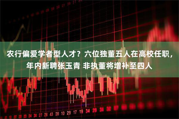 农行偏爱学者型人才？六位独董五人在高校任职，年内新聘张玉青 非执董将增补至四人